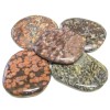 Leopardskin Jasper Palm Stone Leopardskin Jasper Palm Stone