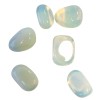 Opaline, culbuté Opaline, culbuté