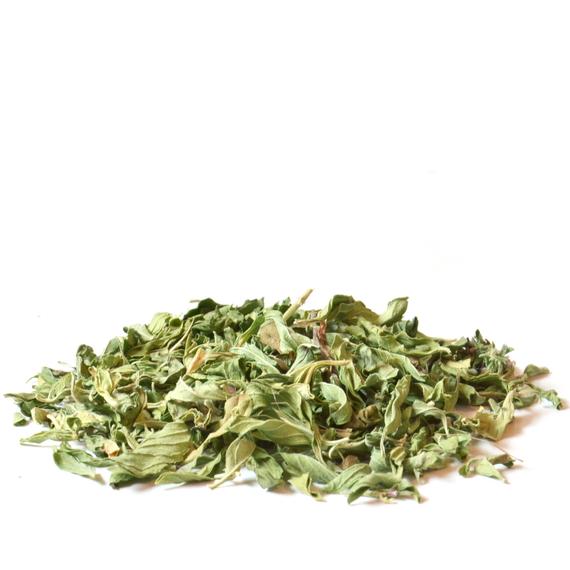 Menthe Pouliot, couper Menthe Pouliot, couper