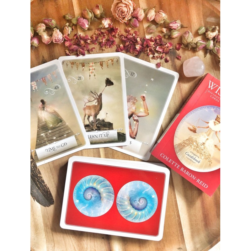 Sagesse des cartes Oracle Divination - C Baron-Reid Sagesse des cartes Oracle Divination - C Baron-Reid