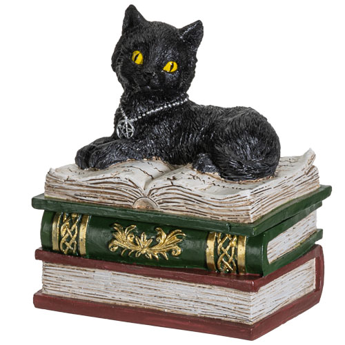 Boîte noire de chat Boîte noire de chat
