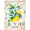 Carte Oracle Sorcière Verte - Cheralyn Darcey Carte Oracle Sorcière Verte - Cheralyn Darcey