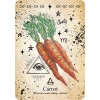 Carte Oracle Sorcière Verte - Cheralyn Darcey Carte Oracle Sorcière Verte - Cheralyn Darcey
