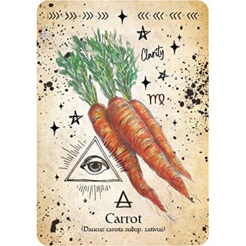 Carte Oracle Sorcière Verte - Cheralyn Darcey Carte Oracle Sorcière Verte - Cheralyn Darcey