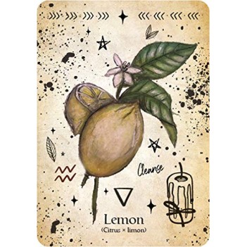 Carte Oracle Sorcière Verte - Cheralyn Darcey Carte Oracle Sorcière Verte - Cheralyn Darcey