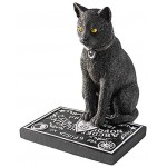 Spirit Board Cat