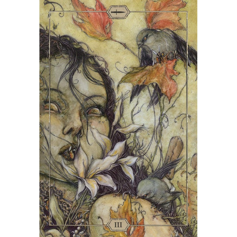 Hush Tarot Hush Tarot