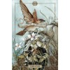 Hush Tarot