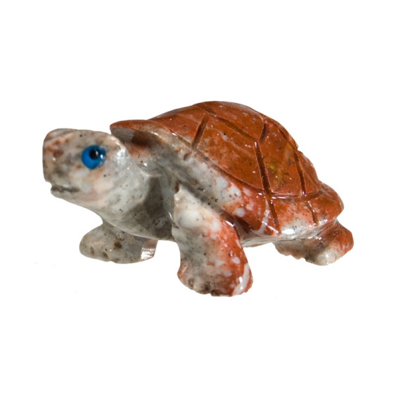 Totem Animal, Onyx Turtle