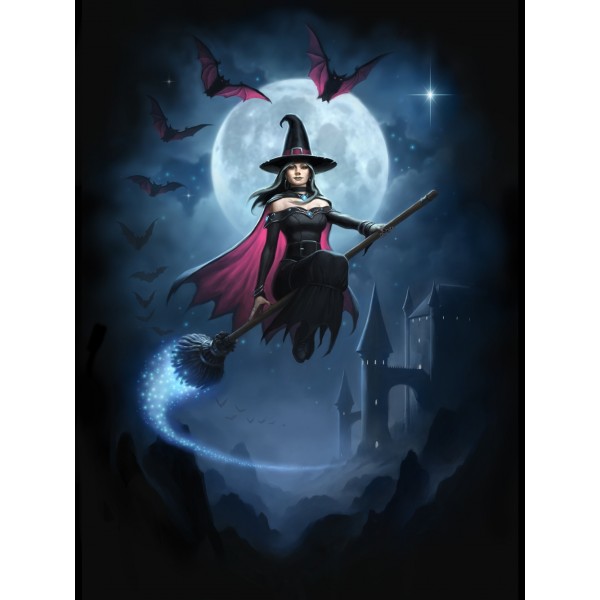 Greeting Card: Witch Flight