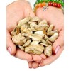 Photo Jasper, Tumbled Photo Jasper, Tumbled