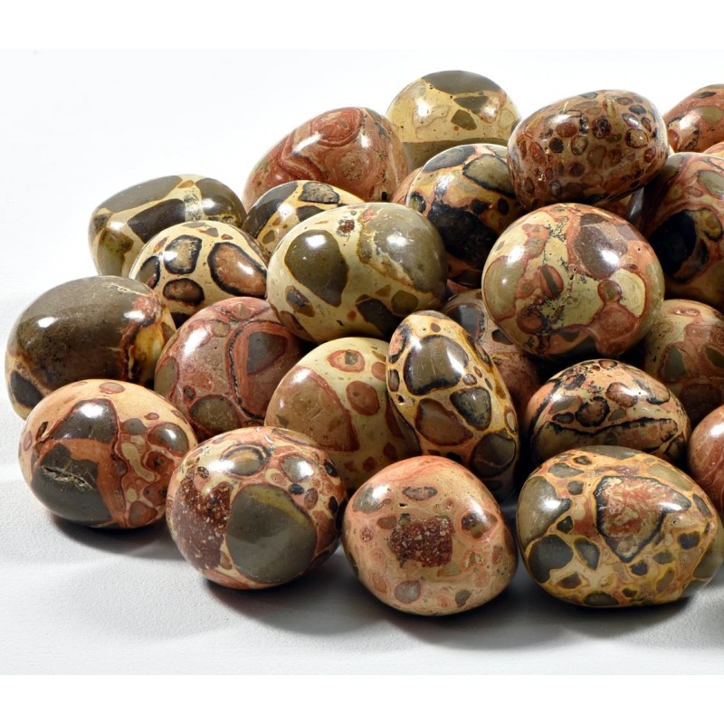 Leopardite, dégringolé Leopardite, dégringolé