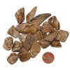 Photo Jasper, Tumbled Photo Jasper, Tumbled