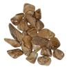 Photo Jasper, Tumbled Photo Jasper, Tumbled
