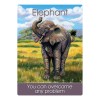 Children's Spirit Animal Cards - Steven Farmer Children's Spirit Animal Cards - Steven Farmer