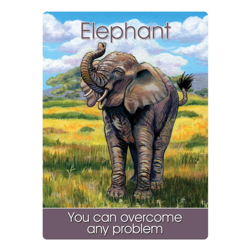 Children's Spirit Animal Cards - Steven Farmer Children's Spirit Animal Cards - Steven Farmer