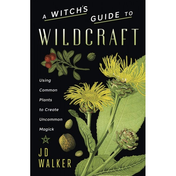 Witchs Guide to Wildcraft - JD - Walker Hortwort