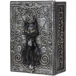 Boîte de tarot pour chat noir