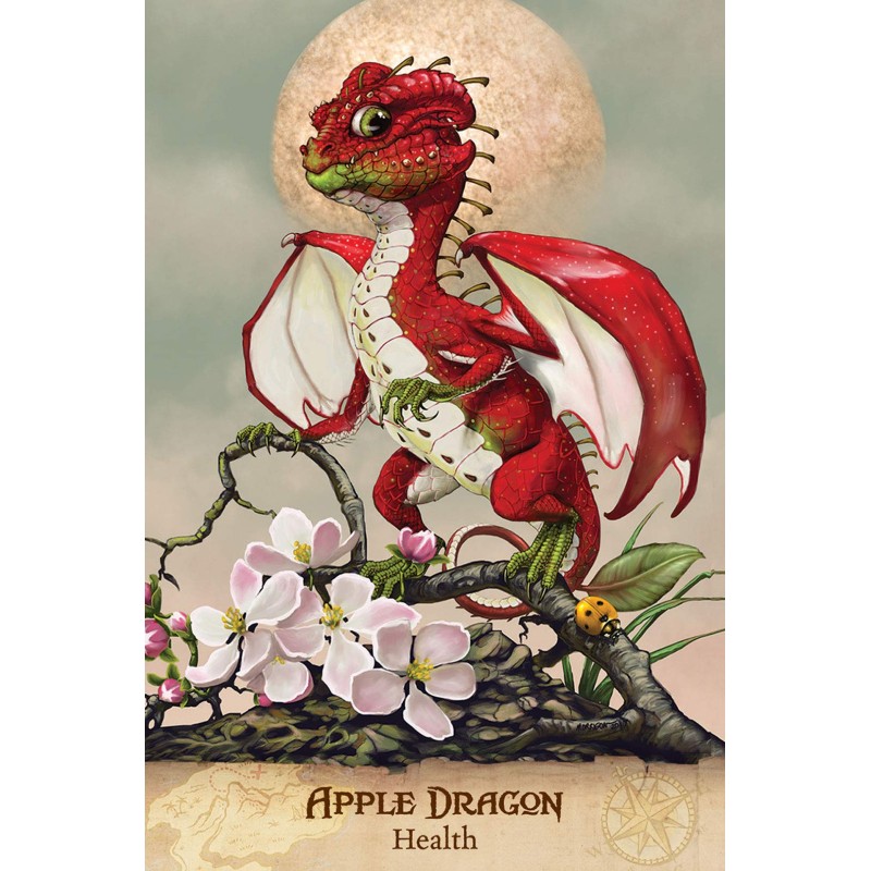 Guide de terrain pour le pont de carte de dragons de jardin Guide de terrain pour le pont de carte de dragons de jardin