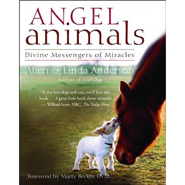 Angel Animals - L Anderson
