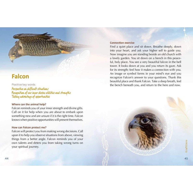 Sagesse de l’esprit animal - Phillip Kansa Sagesse de l’esprit animal - Phillip Kansa