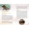 Sagesse de l’esprit animal - Phillip Kansa Sagesse de l’esprit animal - Phillip Kansa