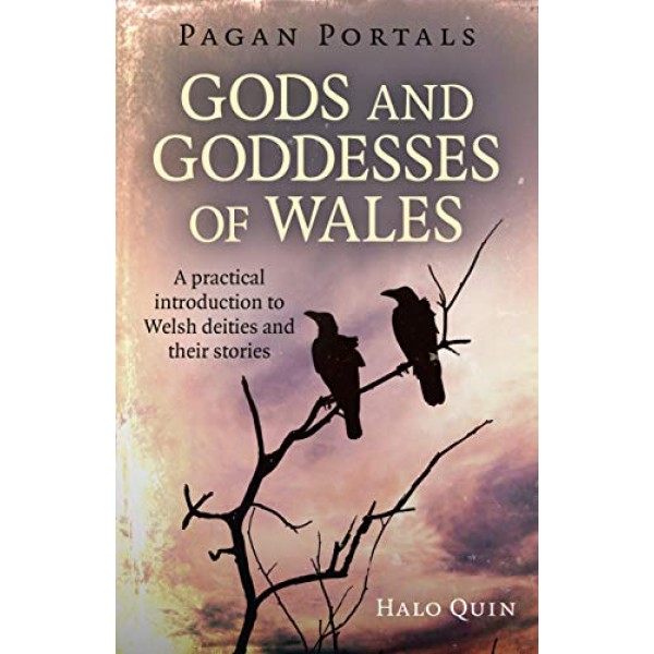 Pagan Portals - Gods & Goddesses of Wales