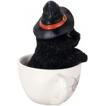 Black Kitten In A Tea Cup