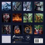 Wall Calendar 2022 Dragons by Anne Stokes