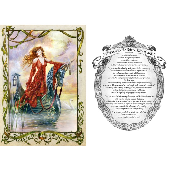 Briar Fantasy Livre de coloriage Briar Fantasy Livre de coloriage