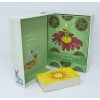 Radiant Tarot Deck Set Radiant Tarot Deck Set