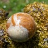 Rainbow Onyx Sphere Rainbow Onyx Sphere
