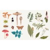 Apothecary Sticker Pack Apothecary Sticker Pack