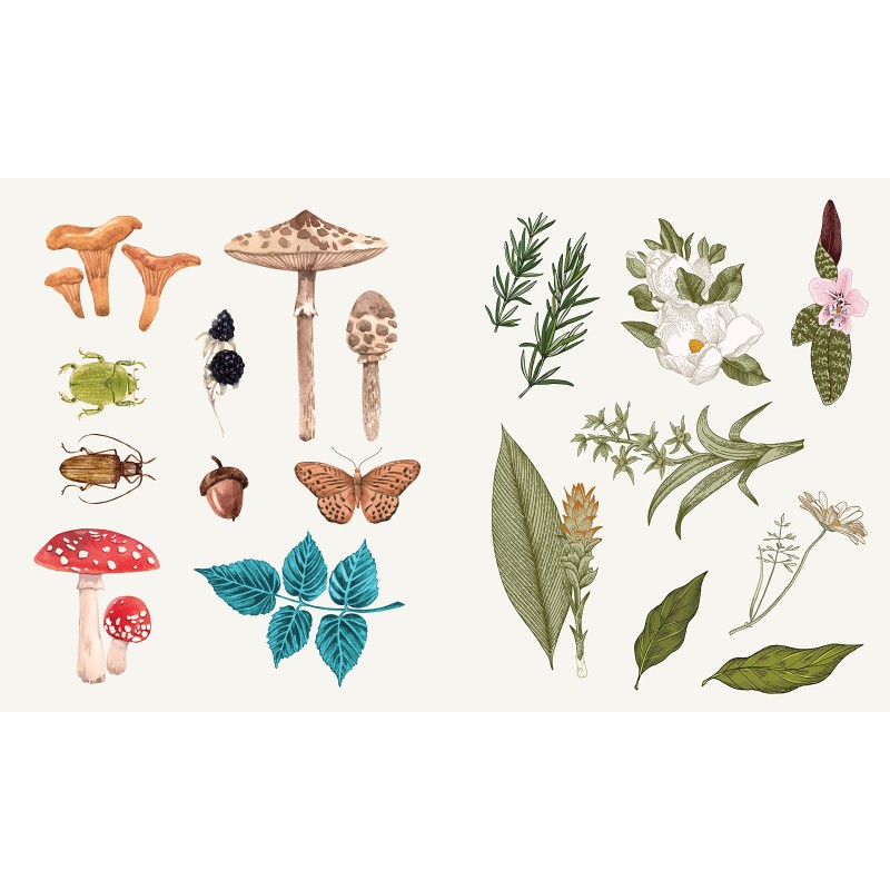 Apothecary Sticker Pack Apothecary Sticker Pack
