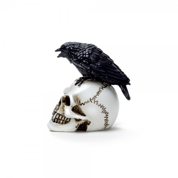 Corbeau miniature sur figurine de crâne