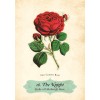 Oracle des Roses - Cheralyn Darcey Oracle des Roses - Cheralyn Darcey
