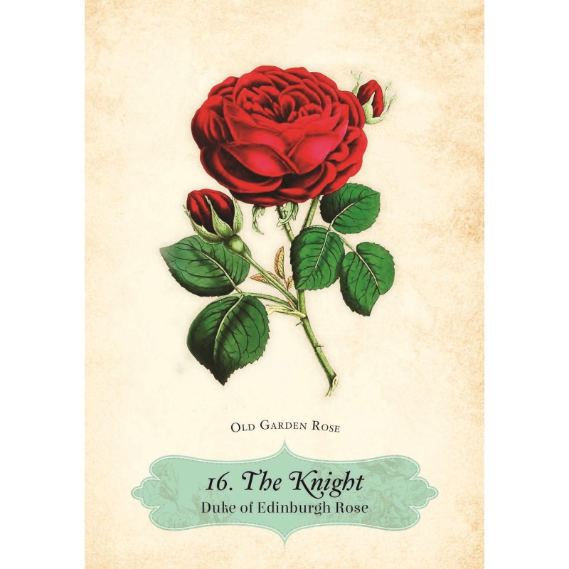 Oracle des Roses - Cheralyn Darcey Oracle des Roses - Cheralyn Darcey