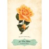 Oracle des Roses - Cheralyn Darcey Oracle des Roses - Cheralyn Darcey