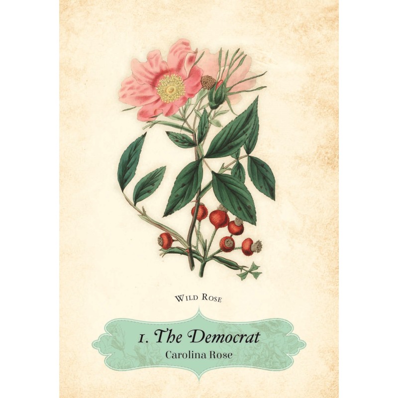 Oracle des Roses - Cheralyn Darcey Oracle des Roses - Cheralyn Darcey