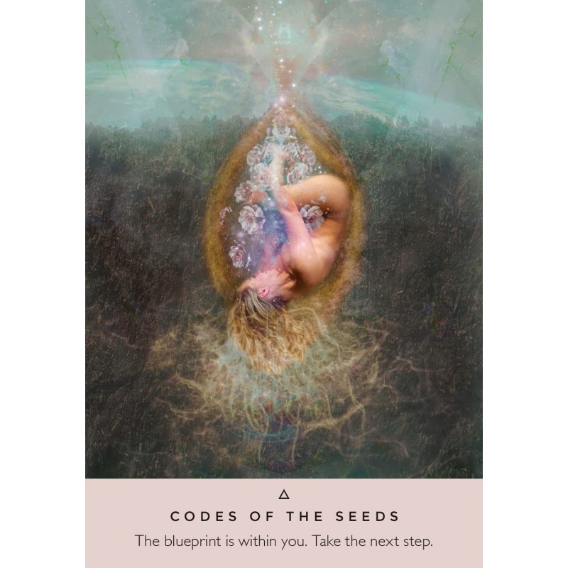 Rose Oracle : Rebecca Campbell Rose Oracle : Rebecca Campbell