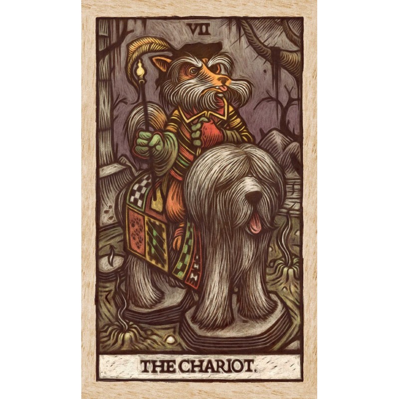Jeu de tarot labyrinthe et guide - Minerva Siegel Jeu de tarot labyrinthe et guide - Minerva Siegel