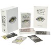 Wild Unknown Animal Spirit Deck et guide Wild Unknown Animal Spirit Deck et guide