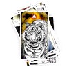 Wild Unknown Animal Spirit Deck et guide Wild Unknown Animal Spirit Deck et guide