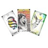 Wild Unknown Animal Spirit Deck et guide Wild Unknown Animal Spirit Deck et guide