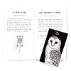 Wild Unknown Animal Spirit Deck et guide Wild Unknown Animal Spirit Deck et guide