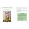 Wild Goddess Oracle Deck and Guidebook - Monte Farber Wild Goddess Oracle Deck and Guidebook - Monte Farber