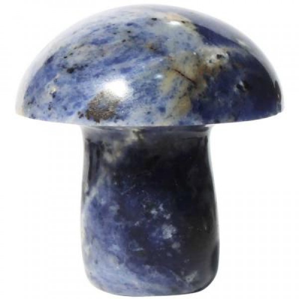 Mushroom Carving - Sodalite