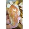 Champagne Aura Specimen