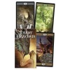 Tarot Draconis - Davide Corsi Tarot Draconis - Davide Corsi