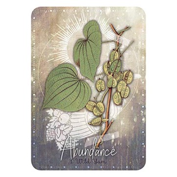 Cartes Oracle Magickal Herb Cartes Oracle Magickal Herb